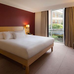 Queen Guestroom View